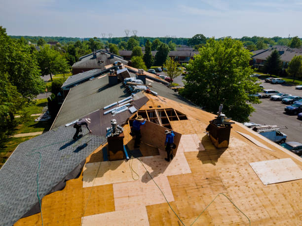 Best Flat Roof Repair Services  in Union City, MI
