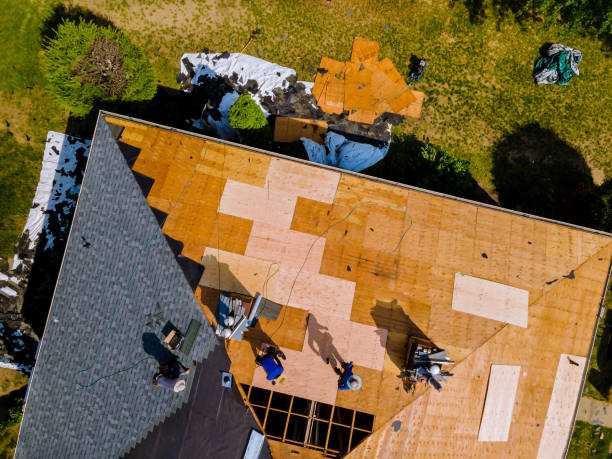 Best Storm Damage Roof Repair  in Union City, MI