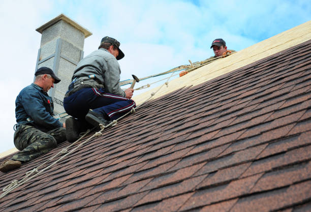 Best Roof Gutter Cleaning  in Union City, MI