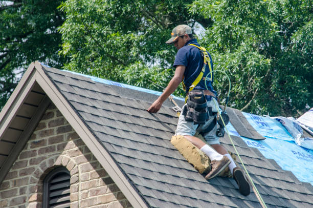 Best Roof Repair Specialists  in Union City, MI