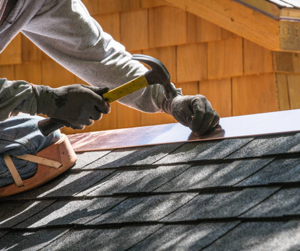 Best Residential Roof Replacement  in Union City, MI